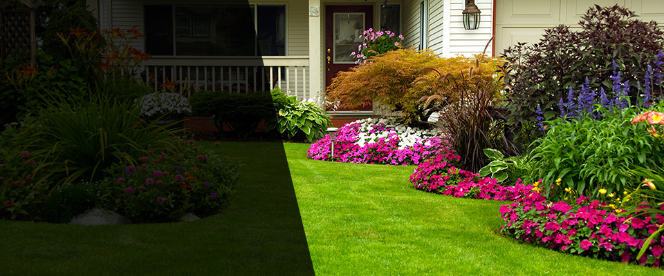 Clearfield Landscapers